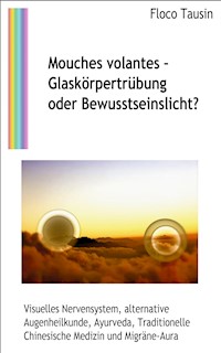 Mouches volantes - Glaskörpertrübung oder Bewusstseinslicht? - Floco Tausin - ebook