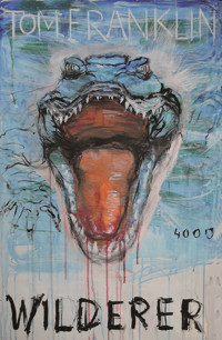 Wilderer - Tom Franklin - ebook