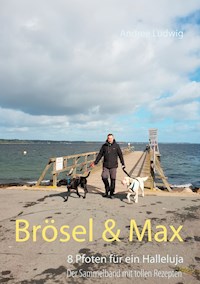 Brösel & Max - Andree Ludwig - ebook