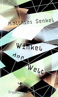 Winkel der Welt - Matthias Senkel - ebook