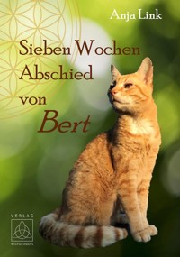 Sieben Wochen Abschied von Bert - Anja Link - ebook