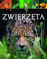 Zwierzęta - Michael Leach - książka