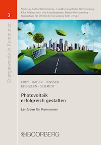 Photovoltaik erfolgreich gestalten - Michael Frey - ebook