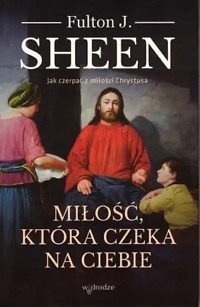 Miłość, która czeka na ciebie - Sheen Fulton J. - książka