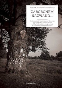 Zabobonem nazwano... - Józefów-Czerwińska Bożena - książka