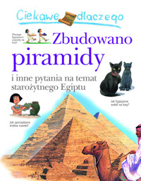 Ciekawe dlaczego zbudowano piramidy - Steele Philip - książka
