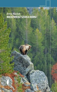 Niedźwiedź szuka domu - Maziuk Anna - ebook + książka