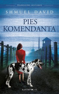 Pies komendata - David Shmuel - książka