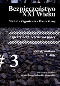 Bezpieczeństwo XXI Wieku Szanse - Zagrożenia - Perspektywy -  - książka