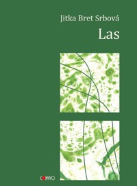Las - Srbova Jitka Bret - książka