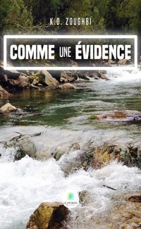 Comme une évidence - K.D. Zoughbi - ebook