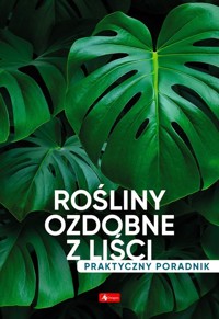 Rośliny ozdobne z liści. Poradnik praktyczny - Mazik Michał - książka