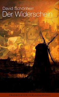 Der Widerschein - David Schönherr - ebook