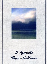 Pejzaże wewnętrzne - D. Agnieszka Illinicz-Kiełkiewicz - ebook