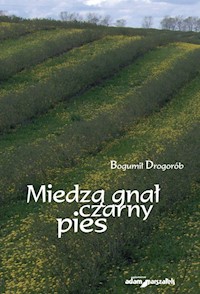 Miedzą gnał czarny pies - Drogorób Bogumił - książka