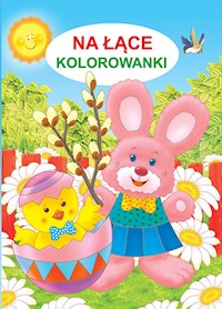Na łące Kolorowanki - Jarosław Żukowski - książka