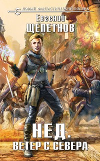 Ветер с севера - Евгений Щепетнов - ebook