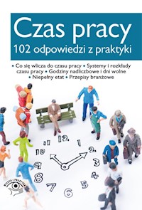 Czas pracy 102 odpowiedzi z praktyki -  - książka