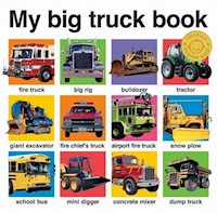 My Big Truck Book - Priddy  Roger - książka