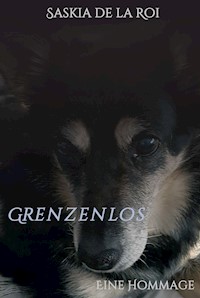 Grenzenlos - Saskia de la Roi - ebook