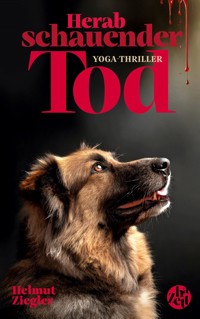 Herabschauender Tod - Helmut Ziegler - ebook