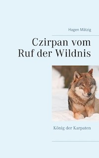 Czirpan vom Ruf der Wildnis - Hagen Mätzig - ebook
