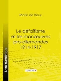Le défaitisme et les manœuvres pro-allemandes 1914-1917 - Louis-Amédée-Joseph-Marie marquis de Roux - ebook