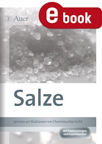 Salze - Erwin Graf - ebook