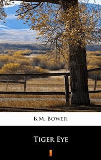 Tiger Eye - B.M. Bower - ebook