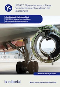 Operaciones auxiliares de mantenimiento externo de la aeronave. TMVO0109 - María Inmaculada González Rivas - ebook