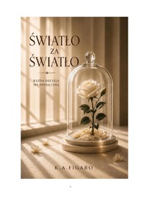 Światło za światło - K.A.Figaro - ebook