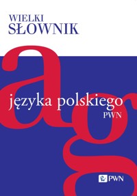 Wielki słownik języka polskiego. Tom 1. A-G - zbiorowa praca - książka