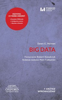 Big Data - Holmes Dawn E. - książka
