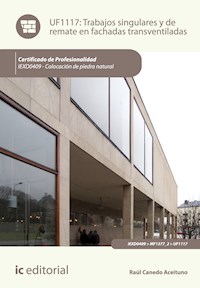 Trabajos singulares y de remate en fachadas transventiladas. IEXD0409 - Raúl Canedo Aceituno - ebook