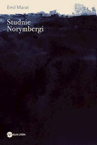 Studnie Norymbergi - Emil Marat - ebook + audiobook + książka