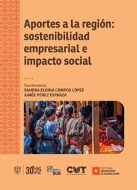 Aportes a la región: sostenibilidad empresarial e impacto social - Aimée Pérez Esparza - ebook