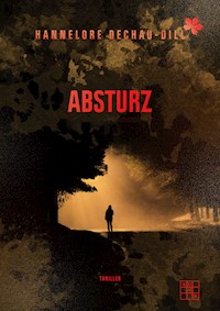 Absturz - Hannelore Dechau-Dill - ebook