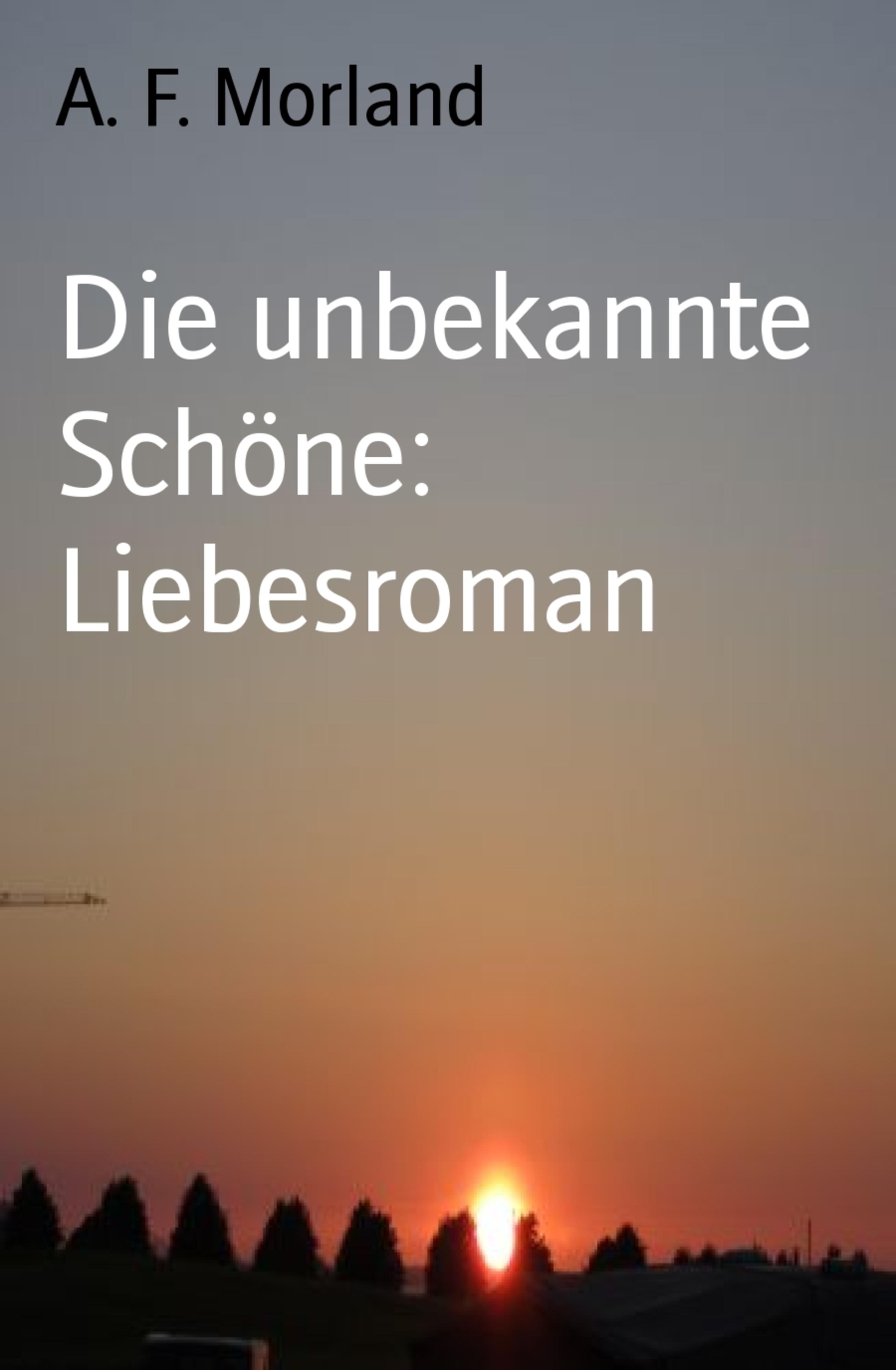 Die unbekannte Schöne: Liebesroman