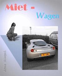 Miet - Wagen - Arne Siegel - ebook