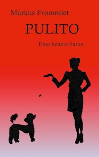 Pulito - Markus Frommlet - ebook