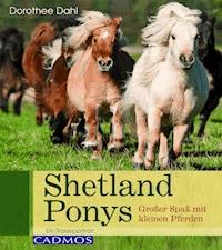 Shetlandponys - Dorothee Dahl - ebook