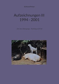 Aufzeichnungen III; 1994 - 2001 - Eckhard Polzer - ebook