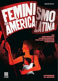 Feminismo para América Latina - Katherine M. Marino - ebook