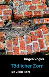 Tödlicher Zorn - Jürgen Vogler - ebook