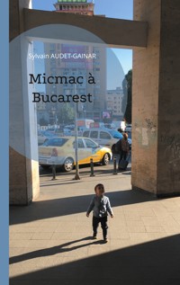 Micmac à Bucarest - Sylvain Audet-Găinar - ebook
