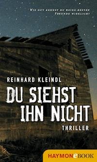 Du siehst ihn nicht - Reinhard Kleindl - ebook