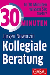 30 Minuten Kollegiale Beratung - Jürgen Nowoczin - ebook