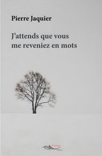 J'attends que vous me reveniez en mots - Pierre Jaquier - ebook