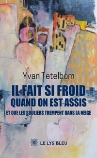 Il fait si froid quand on est assis et que les souliers trempent dans la neige - Yvan Tetelbom - ebook