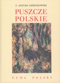 Puszcze polskie - Ossendowski Antoni Ferdynand - książka